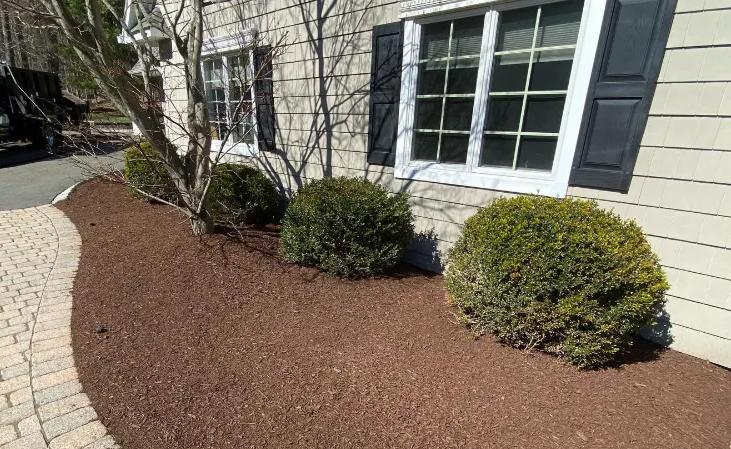 Bush & Shrub Trimming