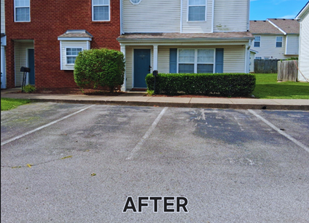 Shrub cutting