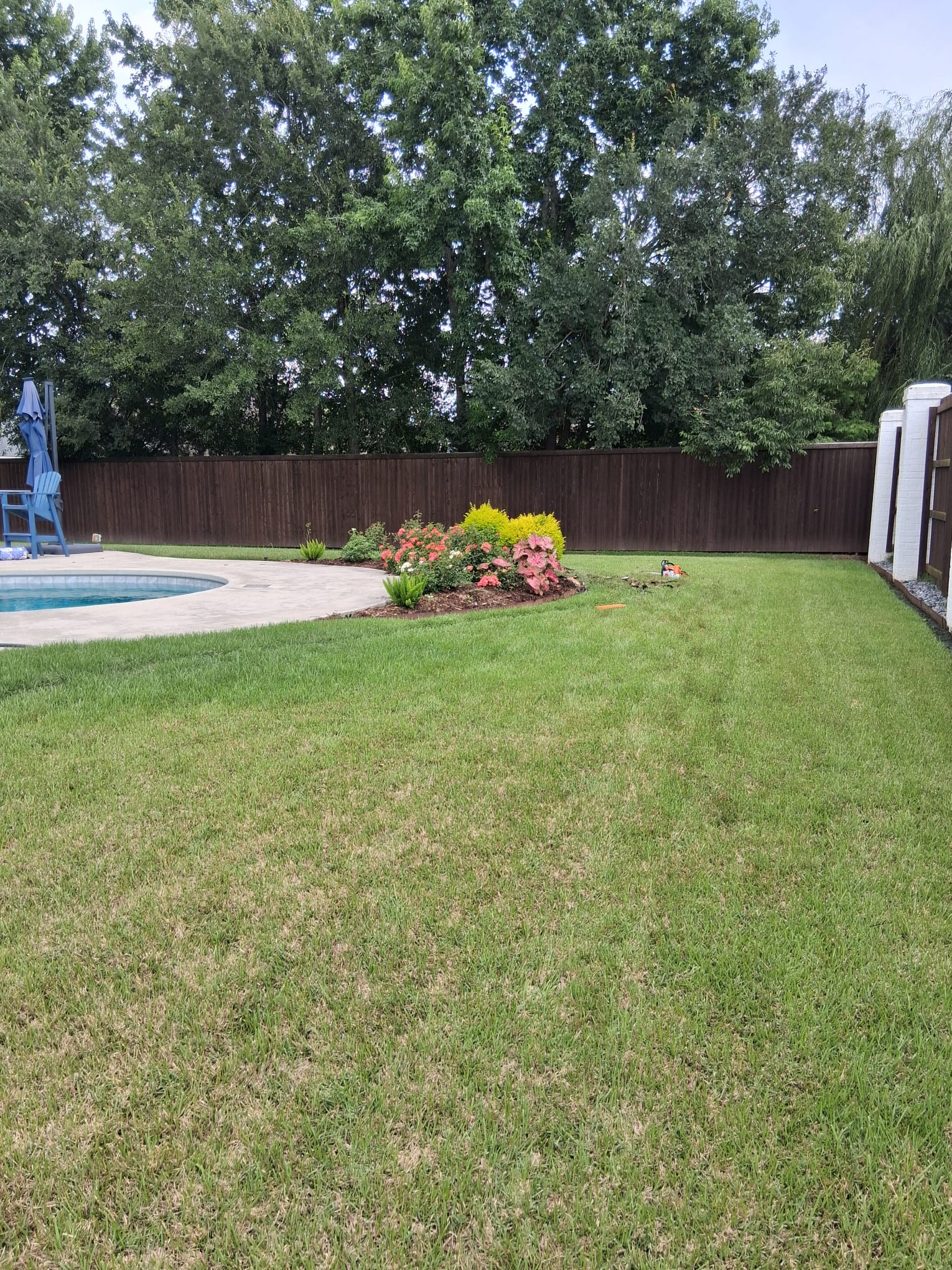 Shrub cutting