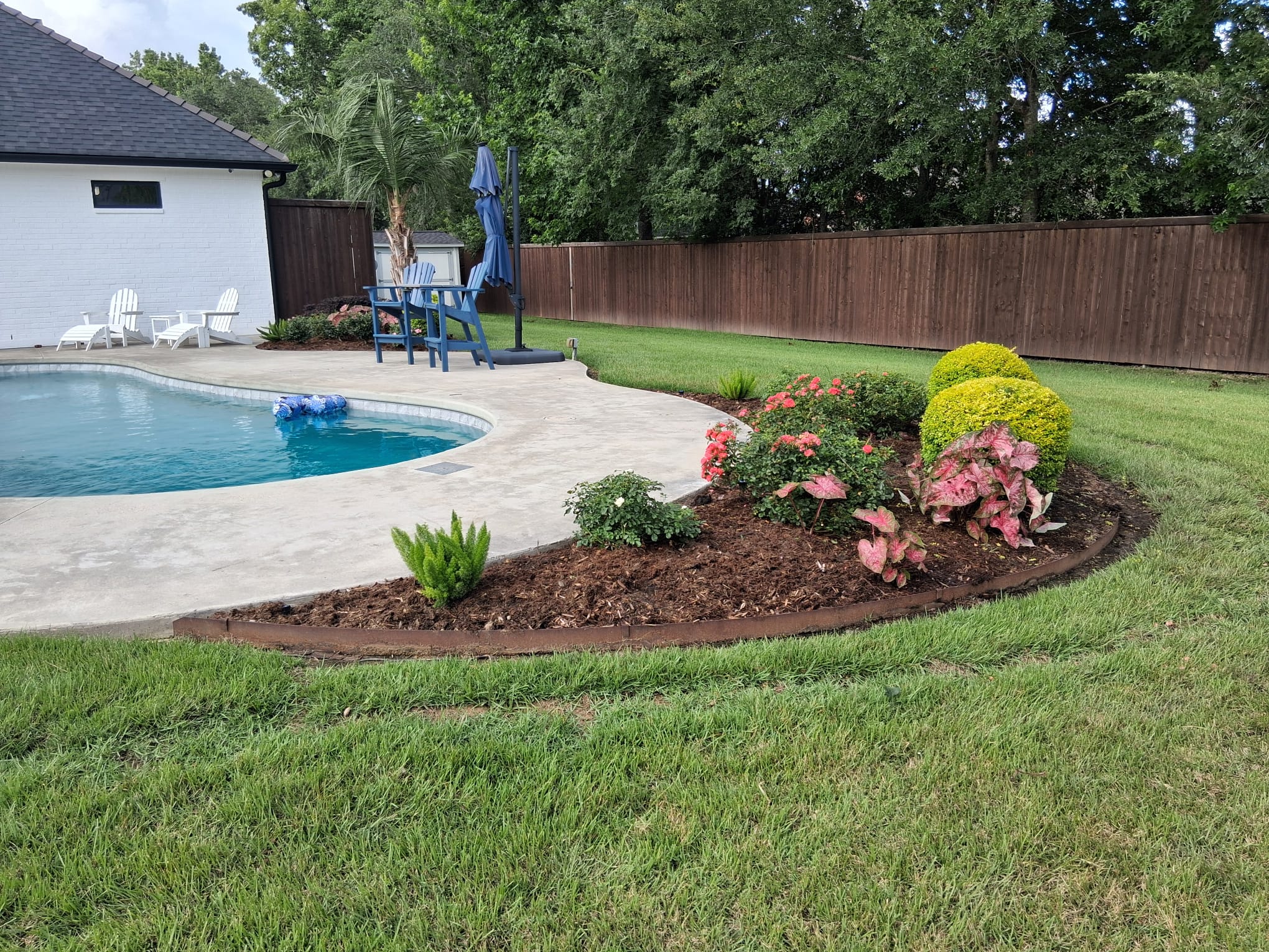 Shrub cutting