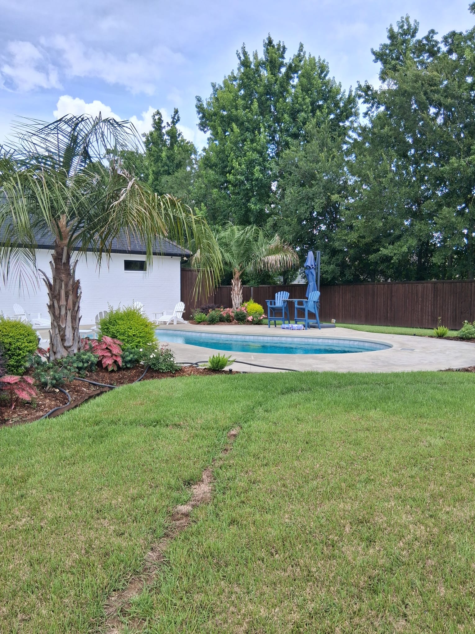 Shrub cutting