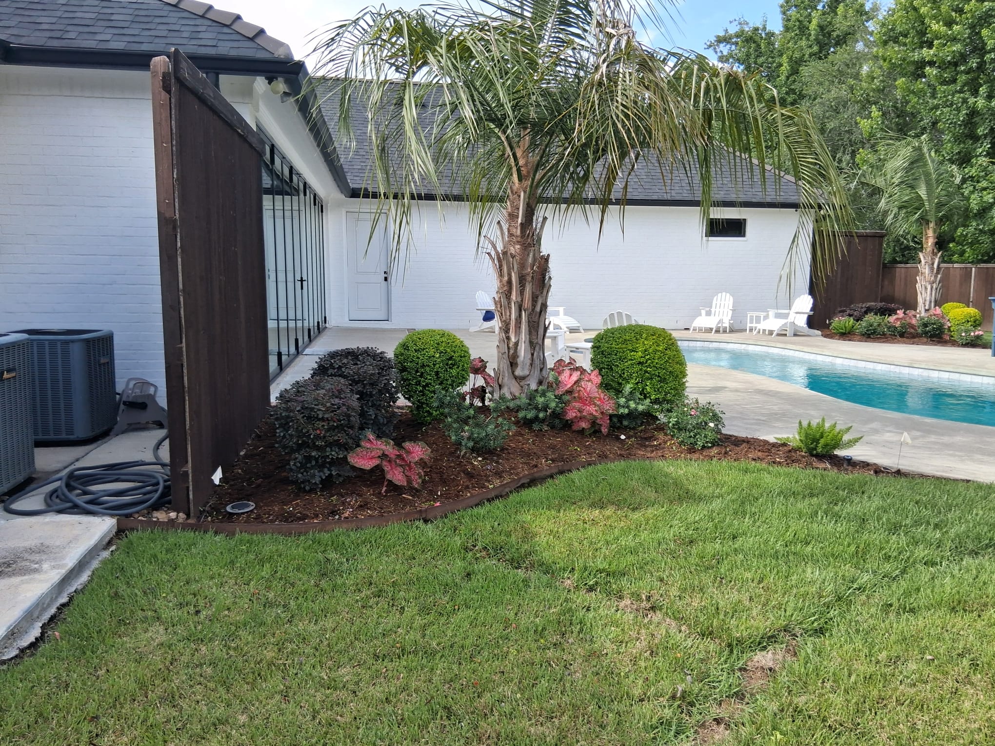 Shrub cutting