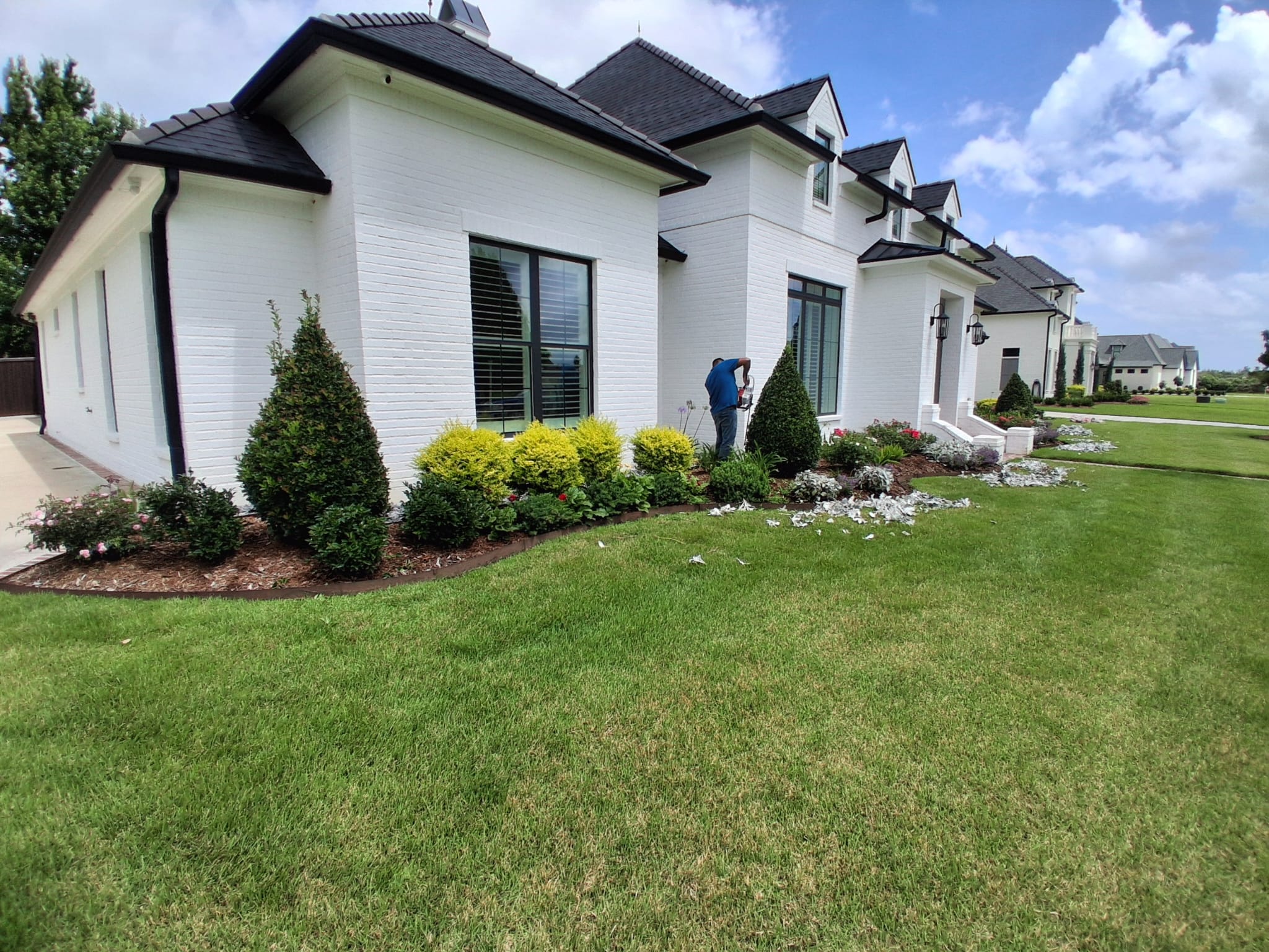 Shrub cutting