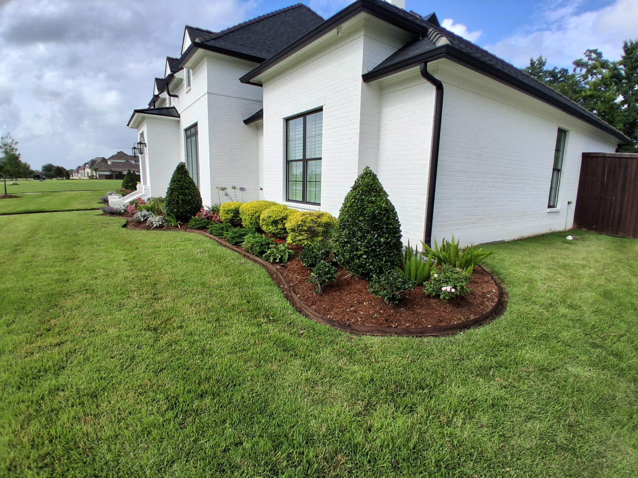 Shrub cutting