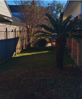 Stump grinding