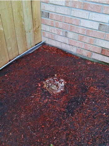 Stump grinding