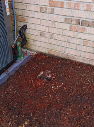 Stump grinding