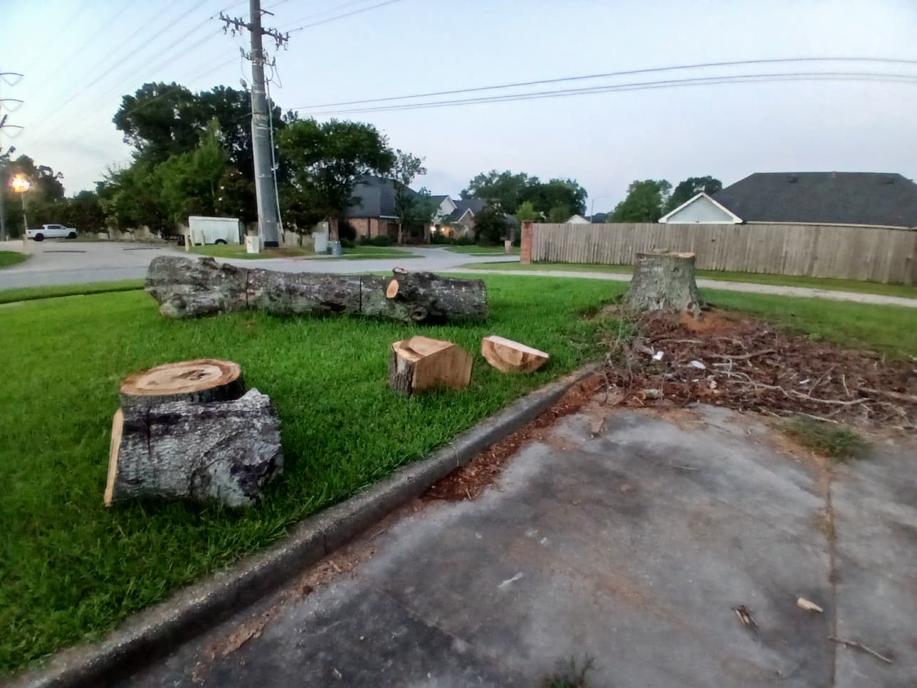 Tree Removal